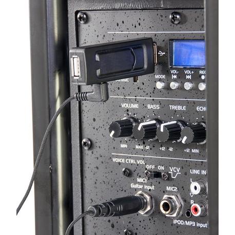 PARTY WM-USB MICROFONO INALAMBRICO USB