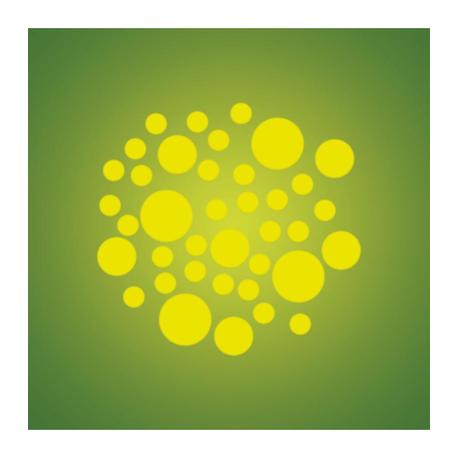 CABEZA MOVIL SPOT/WASH LED IBIZA LIGHT 6x12W RGBWA-UV 2-EN-1