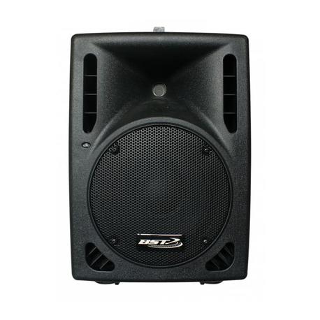 BST WP160 2-WAY PASSIVE SPEAKER 8 / 20cm - 300W