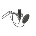 BST STM300-PLUS BST - PROFESSIONAL USB MICROPHONE SET FOR RECORDING, STREAMING AND PODCASTING